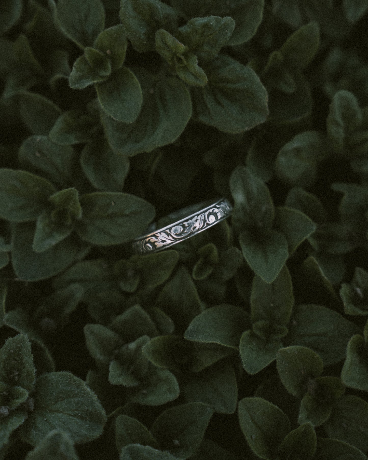 The Sheridan Ring