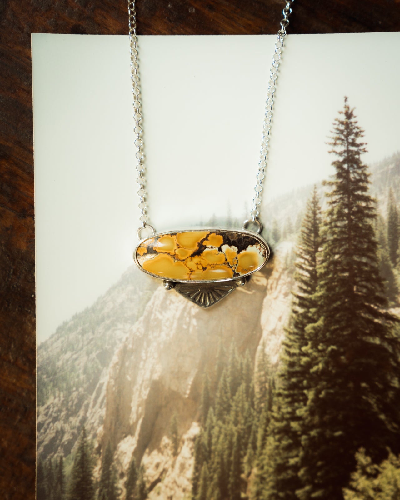 The Sundance Necklace