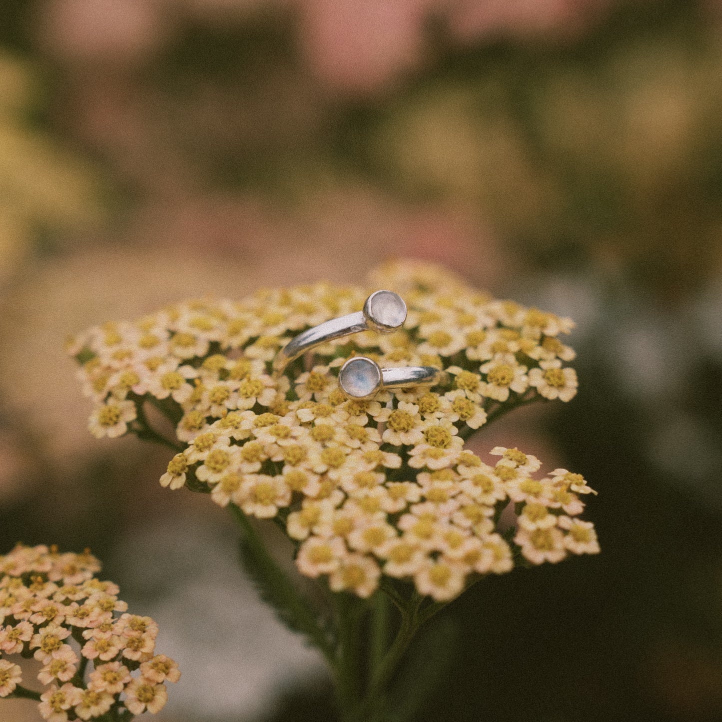 Split Band Ring — Small Stone