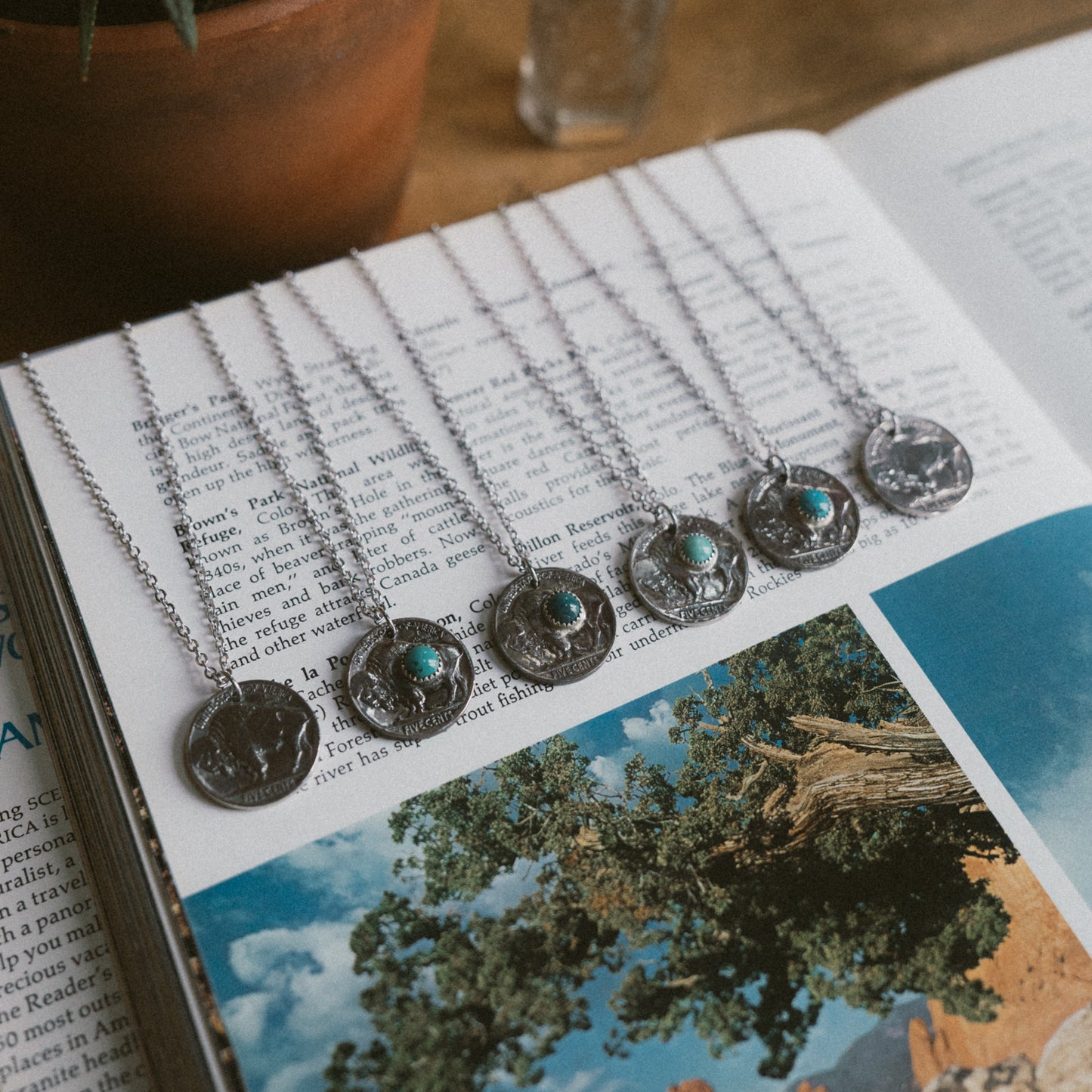 Buffalo Nickel Necklace