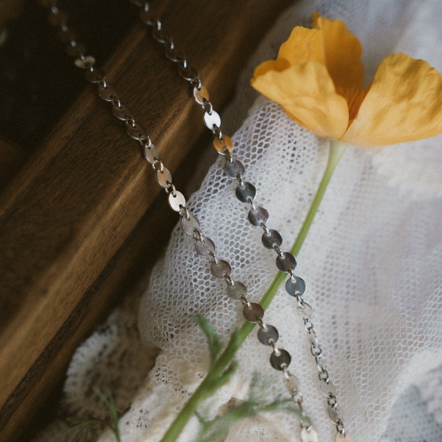 Coin Chain Anklet